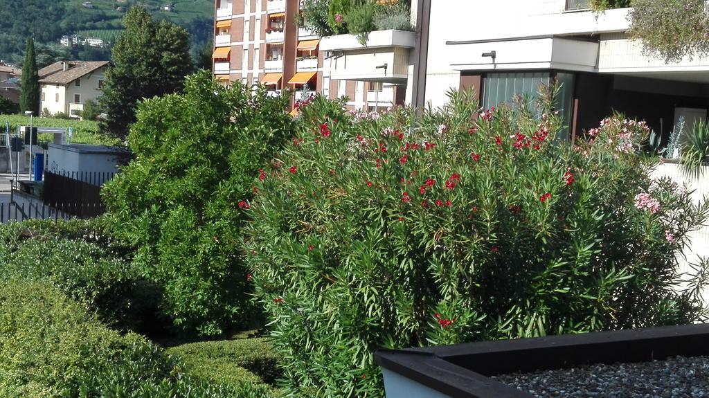 Camere Bolzano Da Glauco ภายนอก รูปภาพ